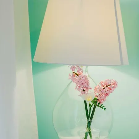 Jasmim セトゥーバル