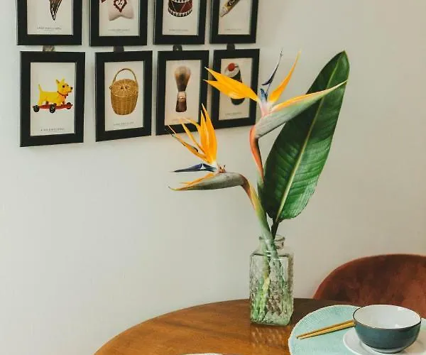 Apartament Jasmim Setúbal